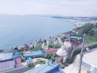 동해선 KTX 승자는 묵호역…MZ가 사랑한 레트로 도시