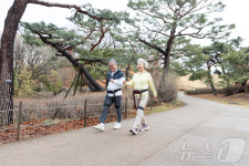 실내·외 통합 보행 프로그램 운영, 윔 보행운동센터