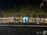 겨울 비수기 옛말…양양 낙산해변 달빛 모닥불 축제 2000명 방문