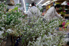 활기 띤 꽃시장