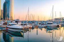 부산 수영만 요트경기장 재개발 여파…요트관광업체 62곳 영업정지