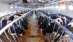 北, 삼광축산농장 축산 현대화 경험 소개