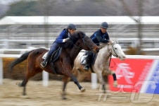 국제부녀절 기념 경기에서 달리는 말들