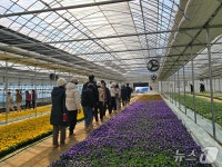 부천 여월꽃양묘장 맨발길, 올해만 3만7000명 찾았다