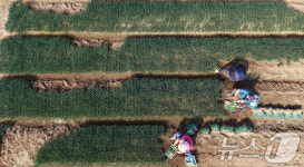 제11회 흙의 날에 분주한 농민