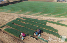 흙의 날에 분주한 농민