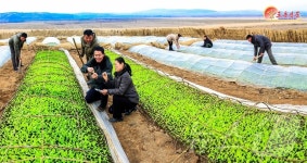 북한 달천농장 당면한 영농 사업 잘 해나간다 선전