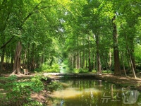 경북 14개 시·군에 도시숲 29곳 조성…도심 녹지 확대
