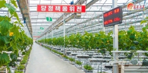 北 당 온실농장건설정책 힘 있게 과시…중평온실농장 조명