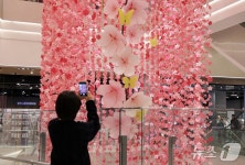 꽃이 쏟아져요…대구신세계백화점, 더 그랜드 블루밍 개막
