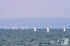 달려라 딩기요트