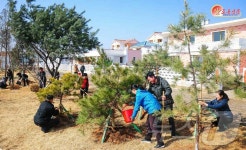 北 농촌마을에 수종 좋은 나무 많이 심어야…사동구역 오류남새농장 조명