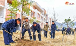 北 농촌마을에 수종 좋은 나무 많이 심어야…사리원시 문현농장