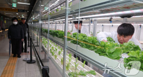 대전 지하철역에 봄 향기 가득