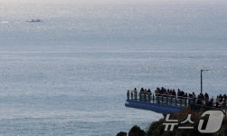 포근한 봄 햇살 쬐며 구경하는 바다