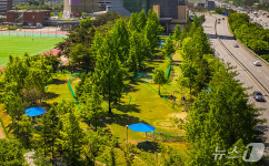 용인시, 파크골프장 대폭 늘린다…2곳→8곳 이상