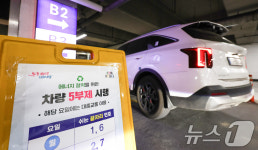 공영주차장 차량 5부제