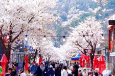 봄봄봄, 인제로 봄!…주민이 만든 인제 골목문화제