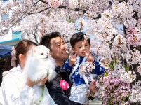 봄봄봄, 인제로 봄!…주민이 만든 인제 골목문화제