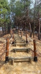강릉시, 주민참여예산 우수사업 3건 선정…월대산 둘레길 최우수