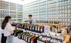 커피엑스포에서 만나는 다양한 차