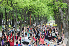 대전 서구청장배 요가페스티벌