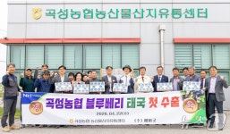 곡성 블루베리 100㎏ 태국 첫 수출…당도·품질 우수