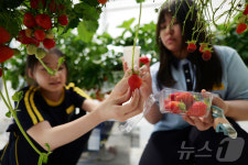 대전 유성구, ‘유성온마을별’ 마을 교육 스마트팜 체험