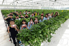 Foto aus Naver-Suchergebnissen 3