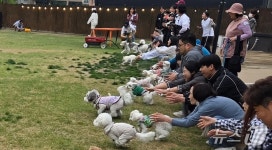 진료실 밖에서 만났다…라라동물의료원, 개린이날 특별 행사