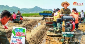 北, 천리마구역 강선농장 선전…풍년모내기 총력