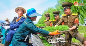 北 모내기 성과 확대…안변군 오계농장 조명