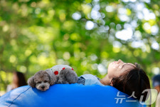 반려견과 숲속 낮잠 힐링이네