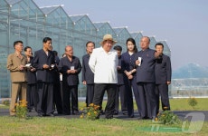 北 신의주온실종합농장 운영 실태 보고 받는 김정은