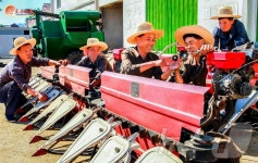 北 안악군 월지농장, 농기계 수리 정비…작물 수확 준비