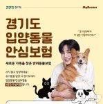 마이브라운, 경기도 입양동물 안심보험 지원…의료비 부담 완화