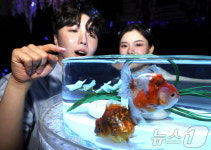 3800여 마리 담수어 만나는 물빛정원