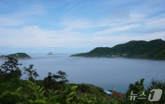 [진도의 섬, 세상의 별 ㉗·]…맹골 죽도(竹島)