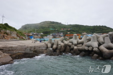 [진도의 섬, 세상의 별 ㉗·]…맹골 죽도(竹島)