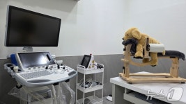 내과·침·재활 치료 김포나루동물병원 개원…日 임상 경험 살려