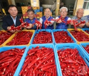 임실고추앤농산물가공판매, 8월15일부터 고춧가루 판매