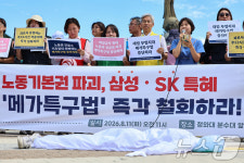 메가특구법 철회 촉구하는 시민단체