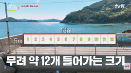 '미대 출신' 노윤서, 어촌 마을에 13m 벽화 그리기 주도…