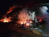 경북 성주서 농장 화재… 돈사 1동 전소·돼지 450마리 폐사