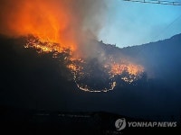 법무부, 산불 확산에 안동교도소 수용자 이송