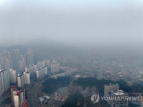 안동 산불, 시내 쪽 확산…풍산·남후·남선·임동 주민 대피령