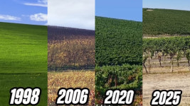 옛날 그 모습이 아니네…윈도우 배경 속 푸른 언덕 근황은