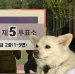 121세 할머니도 배 타고 나온 섬 사람들도…소중한 한표 행사
