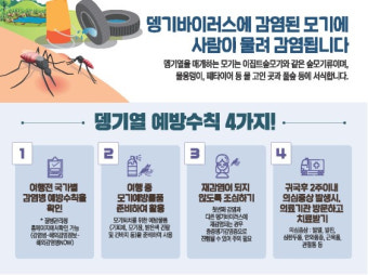 전북서 올해 첫 뎅기열 환자 발생…'해외여행 주의'