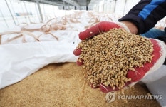 농식품부, 양곡법 등 농업 4법 개정 속도…효과적인 대안 마련